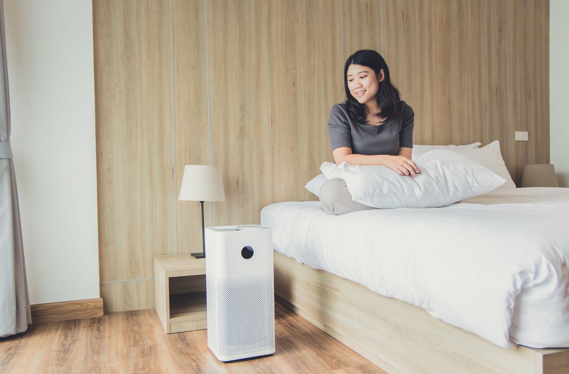 HVAC Blog 4 air purifier